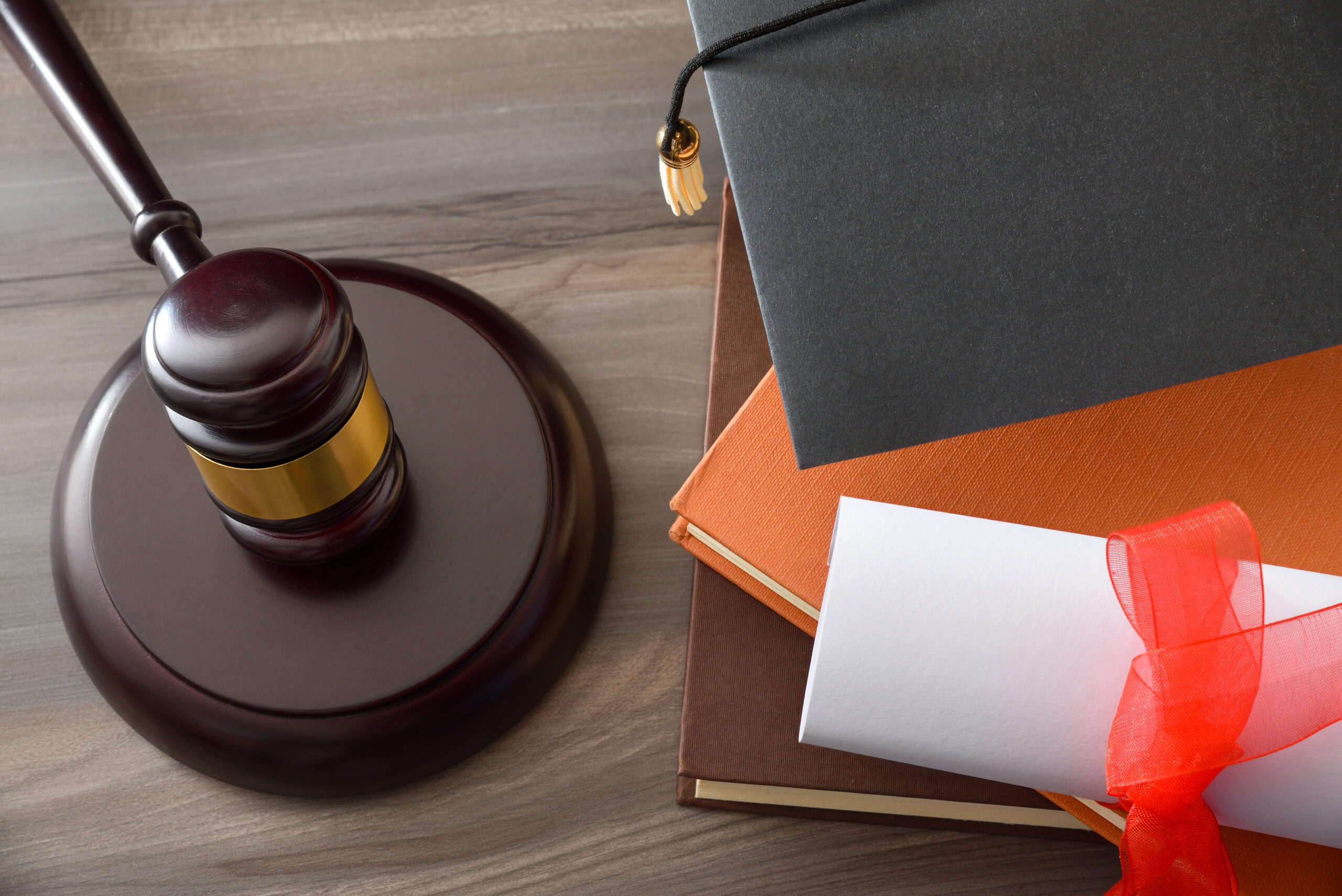 terditli dava. terditli dava nedir. terditli davadilekçesi